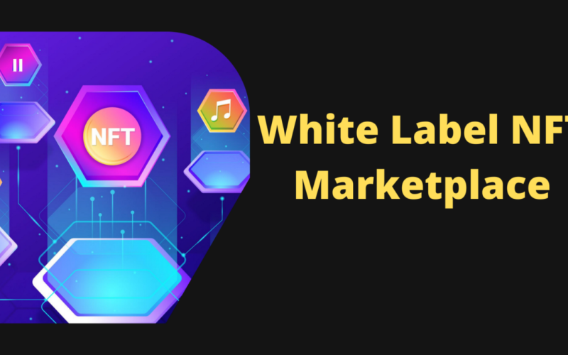An Overview on White Label NFT Marketplace Development
