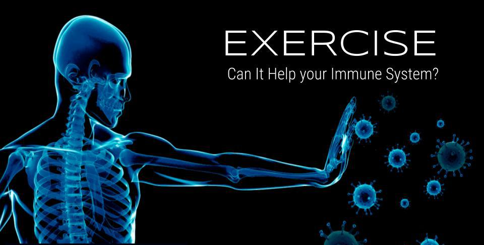 Exercise to strengthen immune system